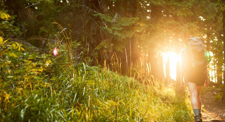 Zanechaj prírodu v stave, v akom si ju našiel: 7 princípov iniciatívy Leave No Trace