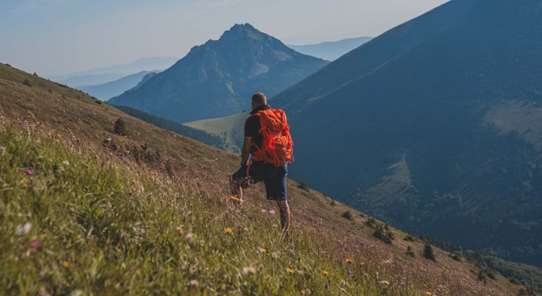 Our Steyr hiking shorts have undergone a significant change!