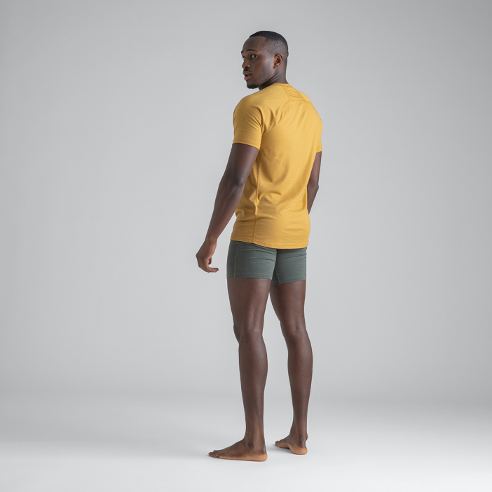 Senti Men's Merino T-shirt